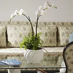 Brunella Hotel Capri