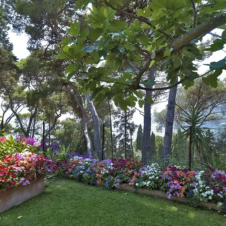 Brunella Hotel 5*