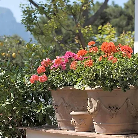 Hotel Brunella Capri